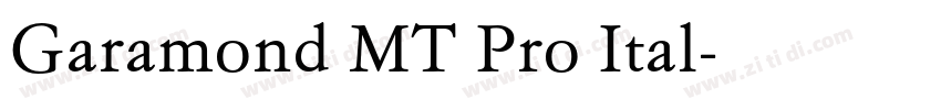 Garamond MT Pro Ital字体转换